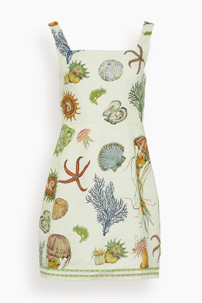 red floral midi dress Red Floral Cotton Midi Dress – self-portrait