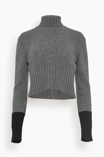 Long Sleeve Turtleneck Knit in Pewter Grey Black