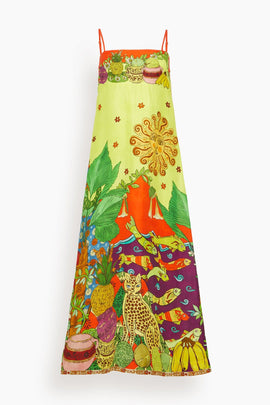 Tiger Day Dress in Multi