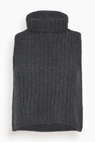 Saige Cropped Turtleneck in Asphalt