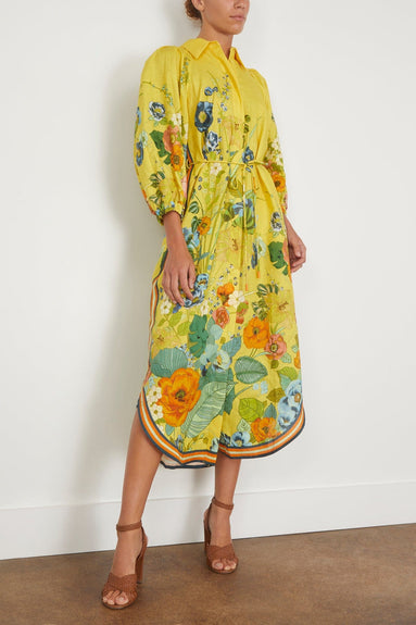 Alemais Casual Dresses Cresida Shirtdress in Yellow Alemais Cresida Shirtdress in Yellow