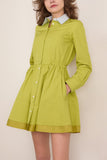 Lanvin Short Shirt Dress in Absinth Green