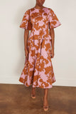 Amir Taghi Jillian Dress in Pink/Camel
