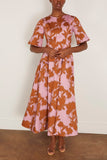 Amir Taghi Jillian Dress in Pink/Camel