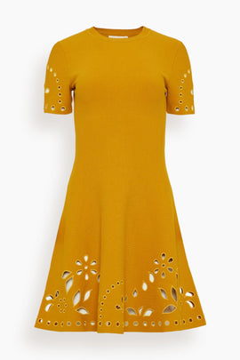 Fania Short Sleeve Knit Mini Dress in Goldenrod