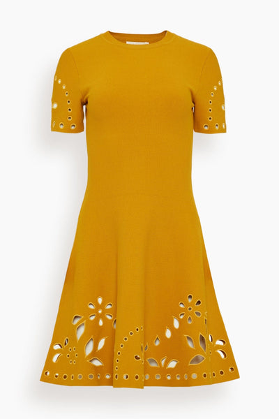 Fania Short Sleeve Knit Mini Dress in Goldenrod