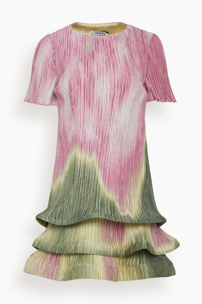 Zenon Short Sleeve Mini Dress in Olive Sunset Print