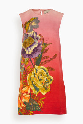 Inez Mini Dress in Pink Ombre