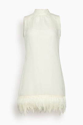 Albee Mini Dress in Ivory