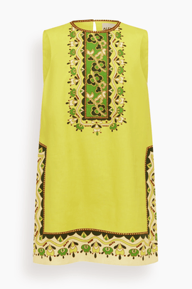 Bridgette Mini Dress in Citrus