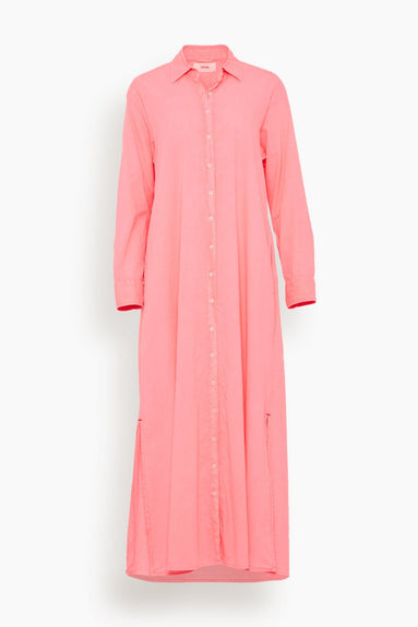Xirena Dresses Boden Dress in Neon Pink