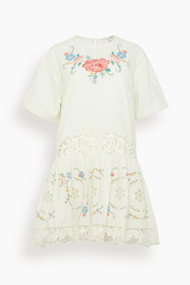 Astrid Embroidery Mini Dress in Multi