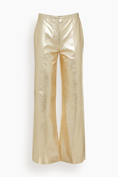 Laminated Leather Palazzo Pants in Stardust