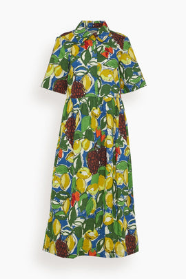 Sketched Fruit Print Shirt Dress in Verdigris/Multi