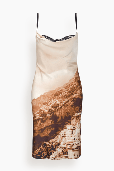 Evangeline Silk Dress in Cliffside