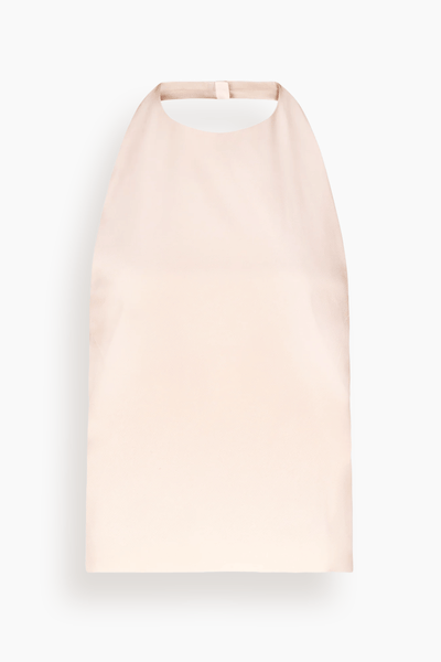 Sami Backless Halter Top in Cream Rose