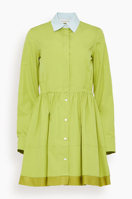 Short Shirt Dress in Absinth Green