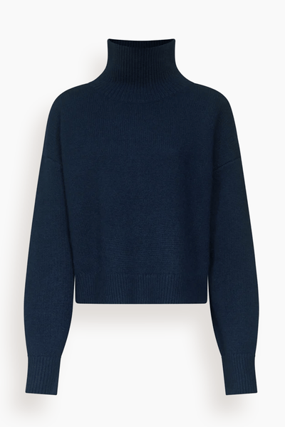 Jonah Turtleneck Sweater in Navy