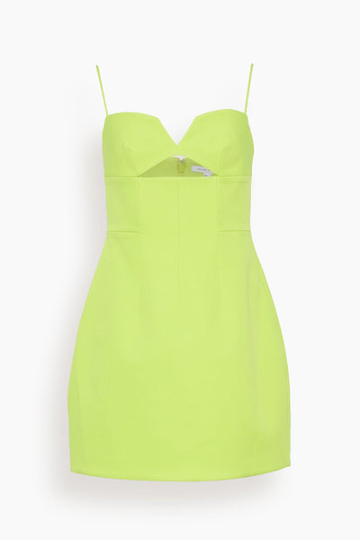Bodie Mini Dress in Neon