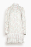 WE-AR4 The Flapper Dress in Silver Multi