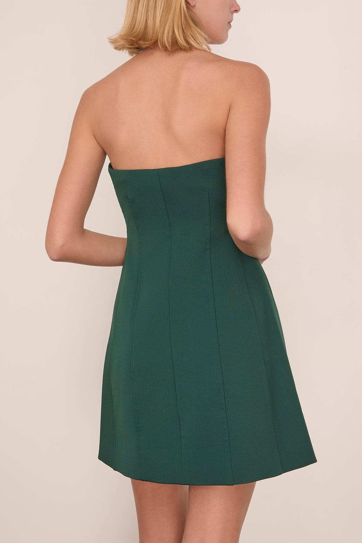 Simkhai Devin Bustier Mini Dress in Emerald