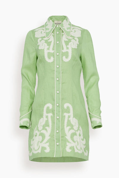 Ruby Mini Dress in Mint
