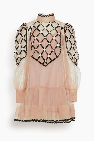 Rhue Beaded Mini Dress in Pink