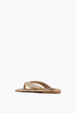 A.Emery Strappy Flat Sandals Morgan Sandal in Gold A.Emery Morgan Sandal in Gold