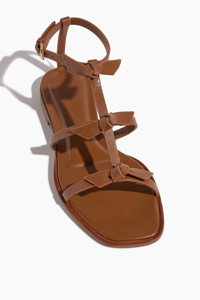 Alexandre Birman Strappy Flat Sandals Slim Lolita Flat Sandal in Espresso Alexandre Birman Slim Lolita Flat Sandal in Espresso