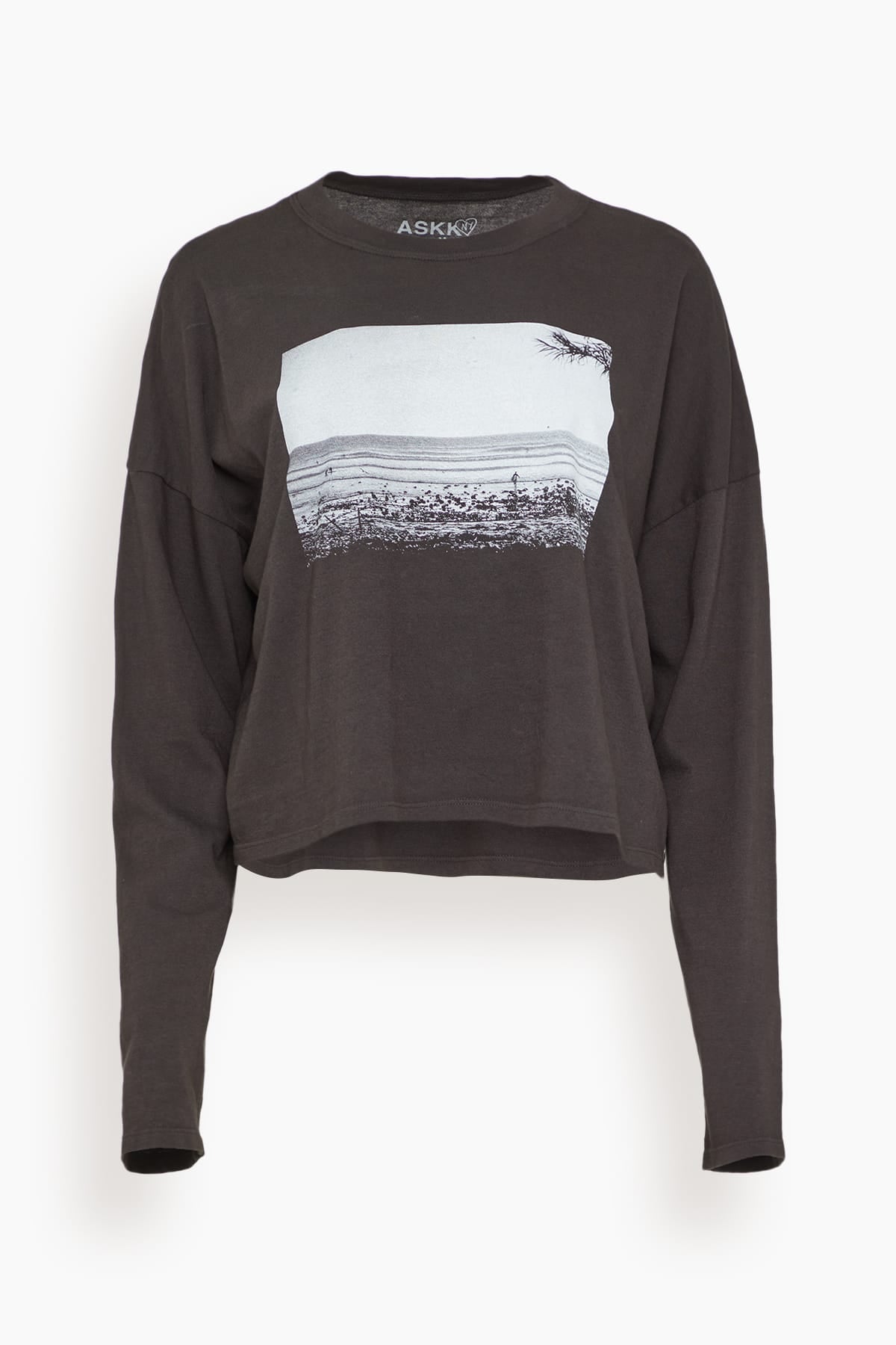 Askk NY Cropped Long Sleeve Printed Tee in Heidi