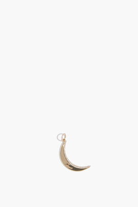 Crescent Moon Pendant in 14k Yellow Gold