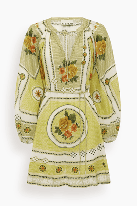 Dixie Mini Dress in Citrus