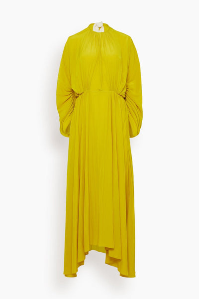 Fitted Waist Midi Dress in Chamomile