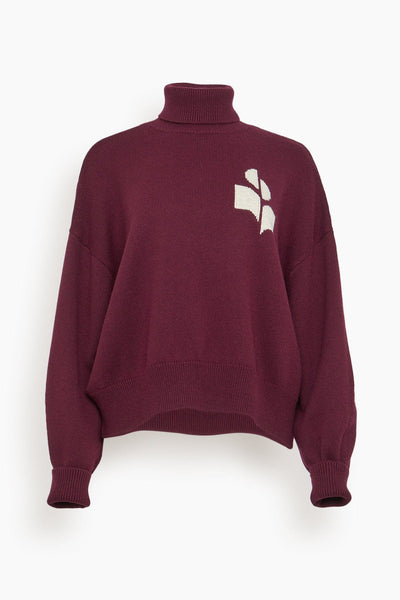 Nash Turtleneck Sweater in Dark Plum