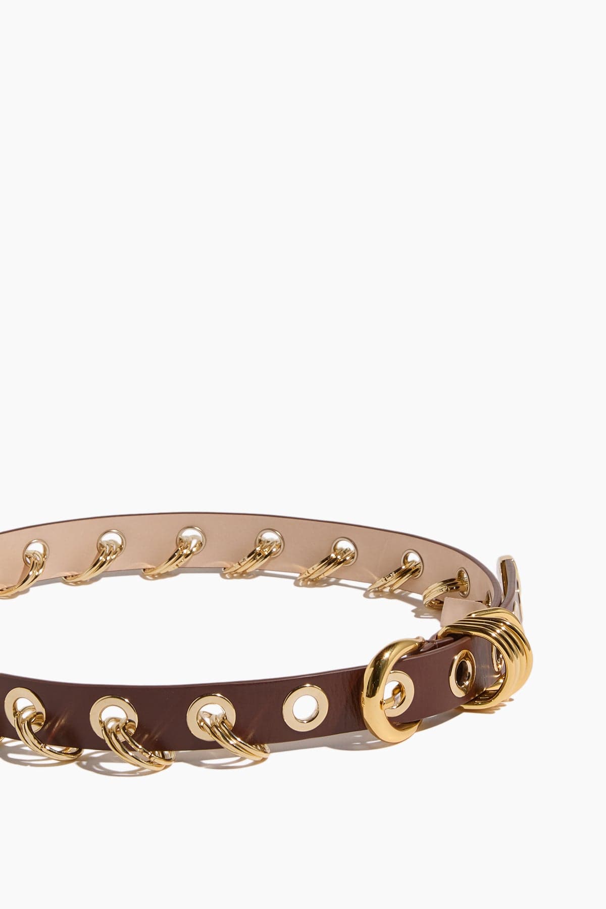 Dehanche Revenge Belt in Mahogany/Gold