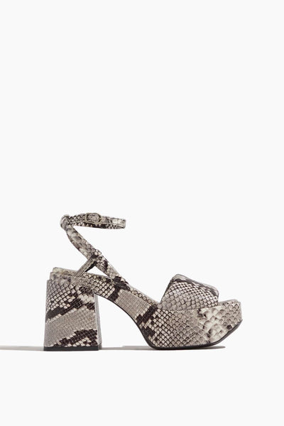 Exotic Coolness Plato Sandal in Grey Snake Mix