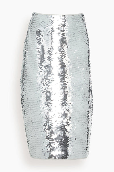 Angy Skirt in Silver