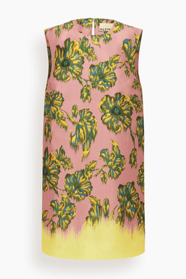 Faye Mini Dress in Multi