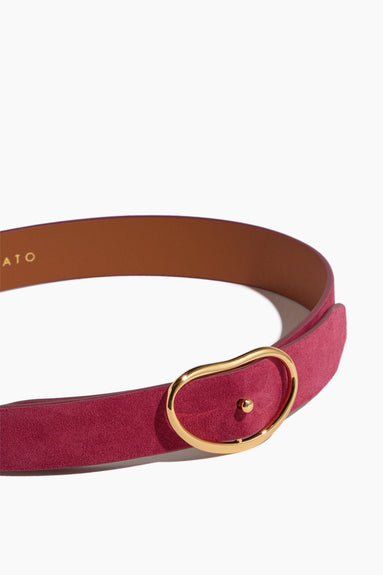 Lizzie Fortunato Belts Wide Georgia Belt in Scarlet Suede Lizzie Fortunato Wide Georgia Belt in Scarlet Suede