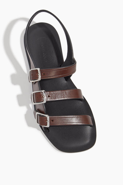 Rachel Comey Strappy Flat Sandals Sawyer Sandal in Dark Brown Rachel Comey Sawyer Sandal in Dark Brown