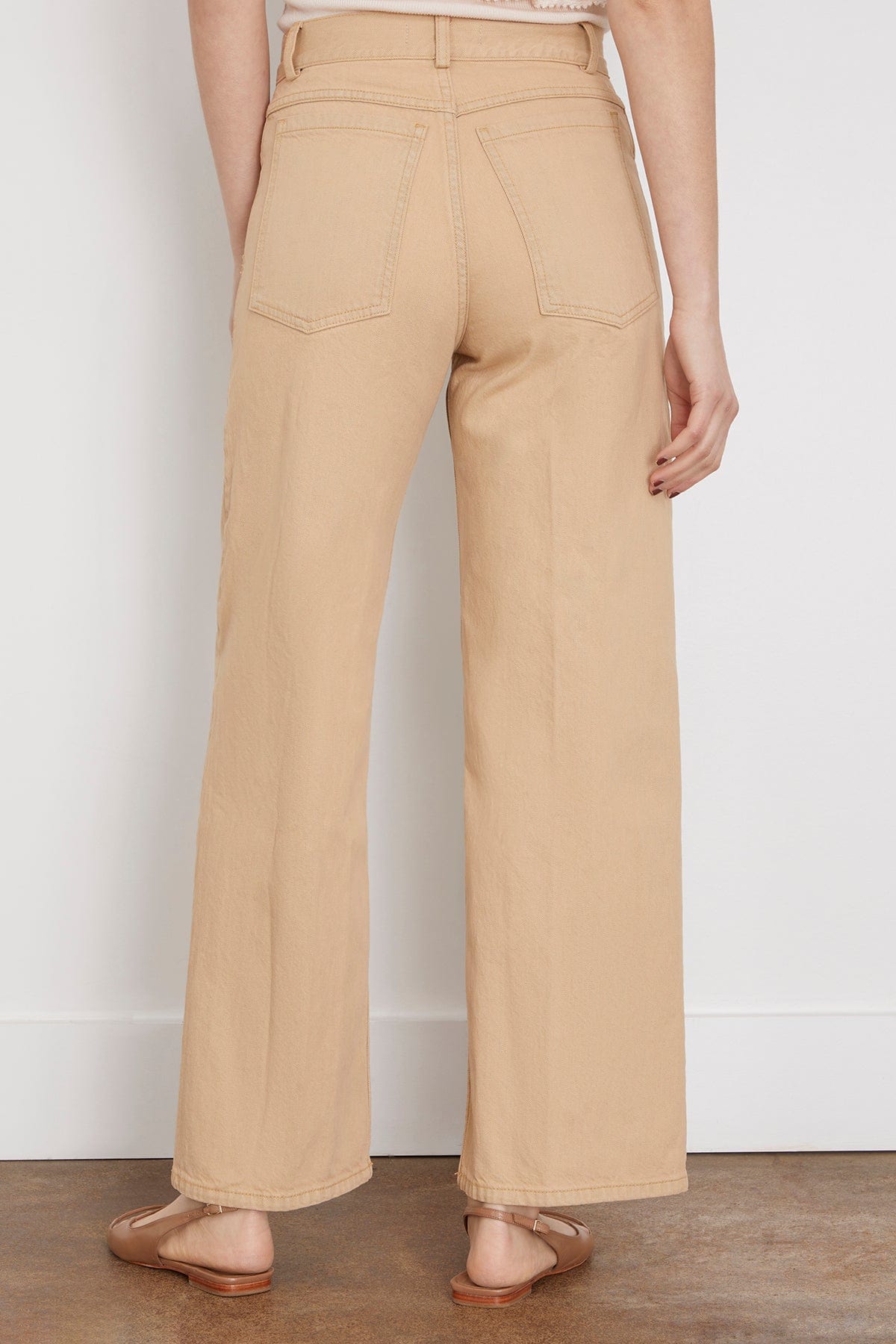 Rachel Comey Ashbolt Pant in Brown