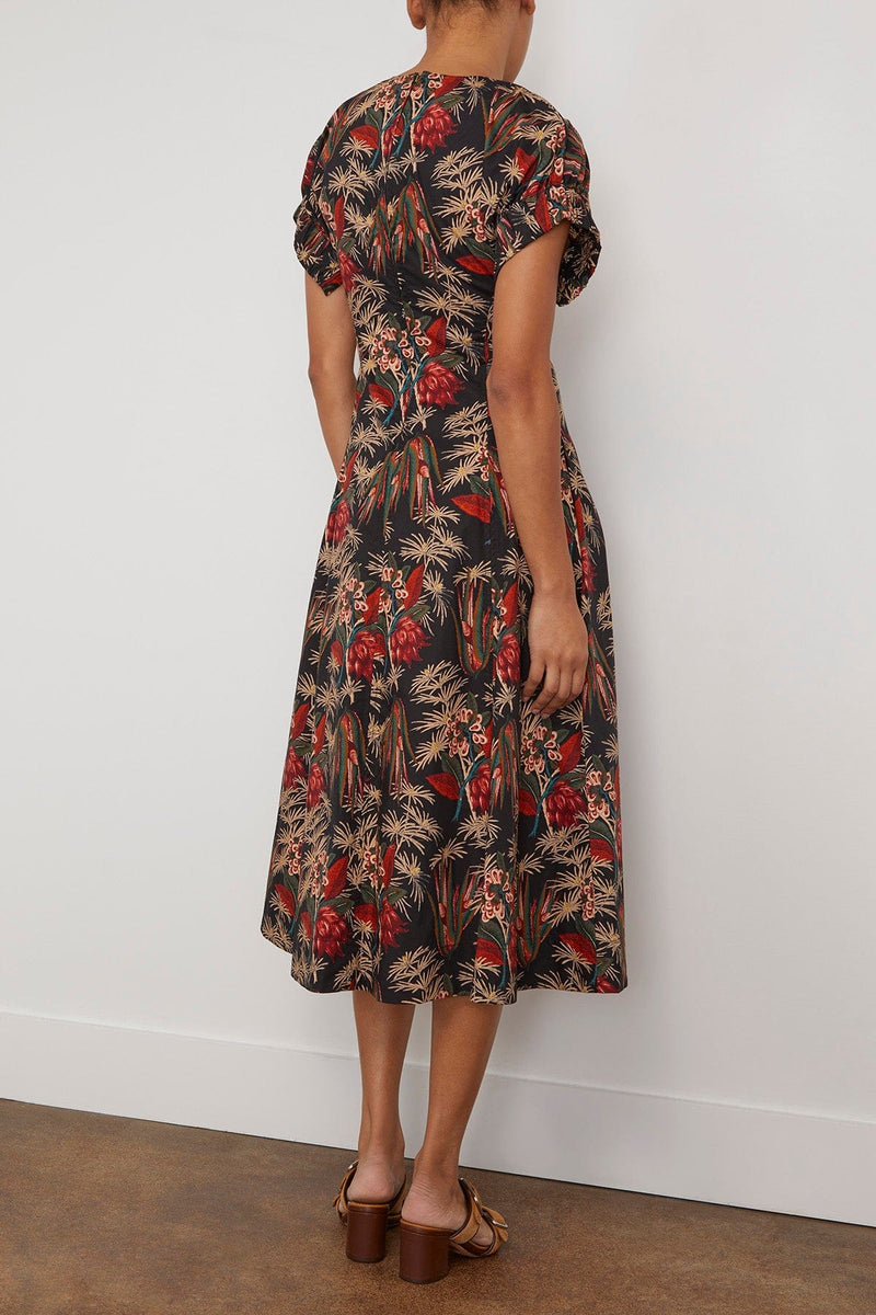 Devon Dress in Anthurium – Hampden Clothing