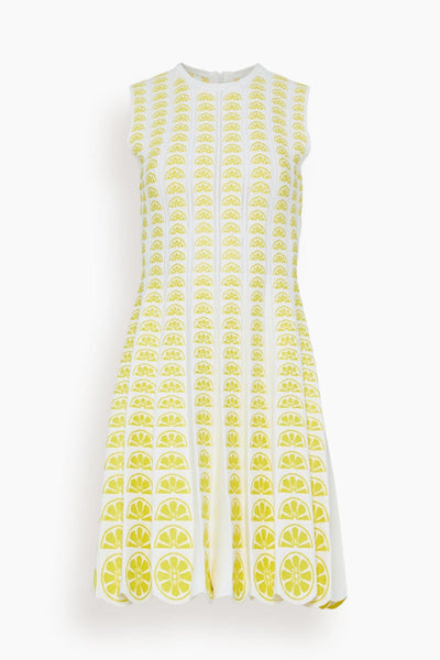 Sleeveless Dress in Ivory