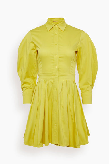 Alexis Dresses Mirielle Dress in Yellow