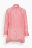 Lovebirds Tops Chiffon Shirt in Pink