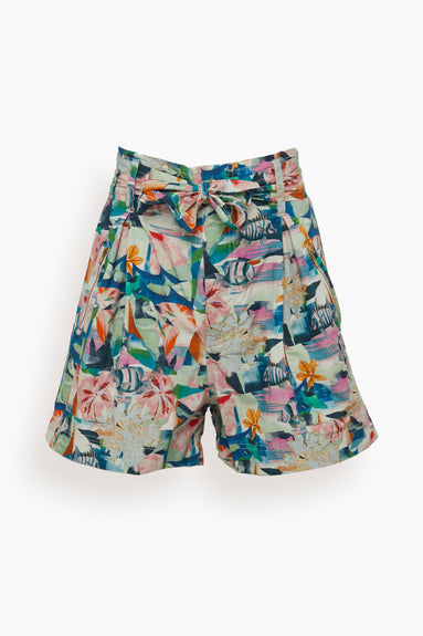 Aldo Shorts in Daii Green