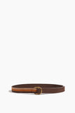Socorro Belt in Earth