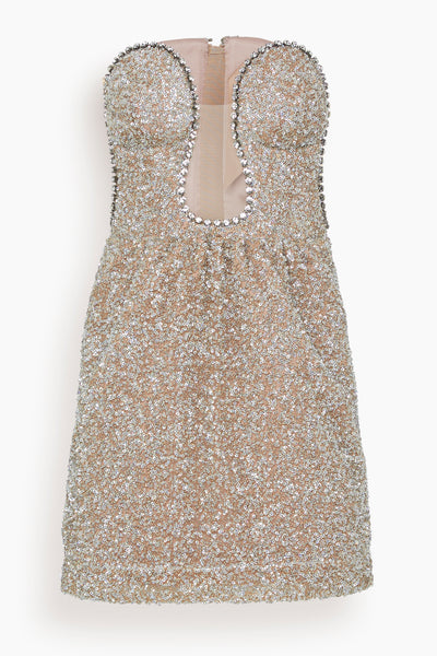 Sequined Dress in Silver