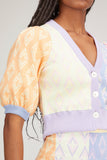Autumn Adeigbo Tops Aretta Cardigan in Multi Color