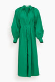 CO Dresses Long Sleeve Waist Pleat Dress in Green
